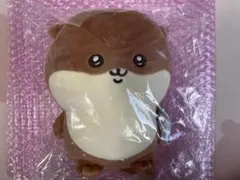 ナガノのカワウソくじ　ぬいぐるみくじ　C賞　ぬいぐるみ　新品未開封