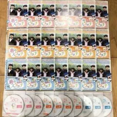 恋のスケッチ 応答せよ1988 日本編集版 【全21巻】 DVD 全巻セット