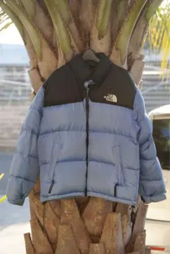 90s THE NORTH FACE ノースフェイス ヌプシ 700fill