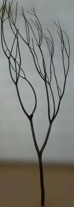 枝　ドライフラワー　インテリア