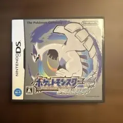 ソウルシルバー ds