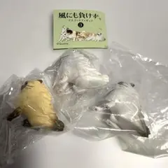 Item thumbnail for item 0ddec029-00ab-47e6-ad4f-da3c98f39606