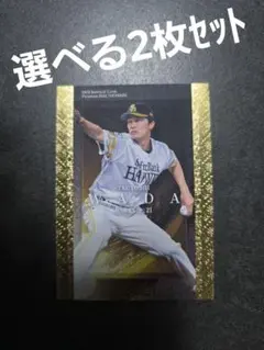 Item thumbnail for item 8dc38b57-4a3c-4879-8bee-c87850ffbe6c