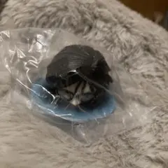 HUNTER×HUNTER ハンターハンター　キメラアント　一番くじ　F賞　ノヴ