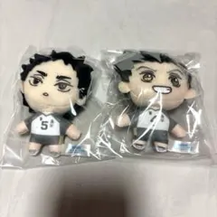 ハイキュー!! セガラッキーくじ B賞 木兎光太郎＆赤葦京治 セット