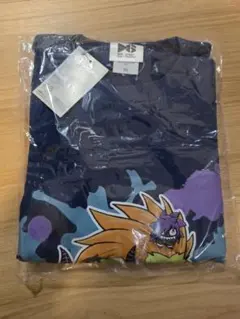 Item thumbnail for item bbe3b3c9-d8ad-4282-a4ca-ec626dd7a33e