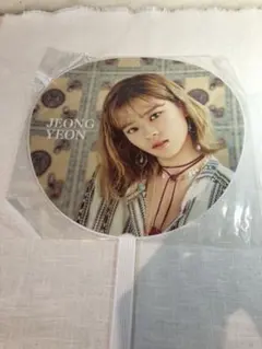 TWICE ジョンヨン うちわ