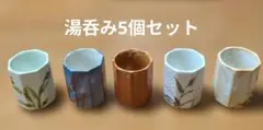 【新品未使用】信楽焼 湯呑み5個セット 植物模様 八角形 湯のみ