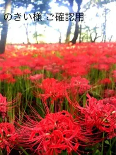 No.312ピアス まとめ売り お買い得 セール