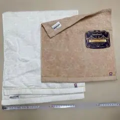 Item thumbnail for item 20238fe7-848c-49f1-a4d5-426a85be2c7e