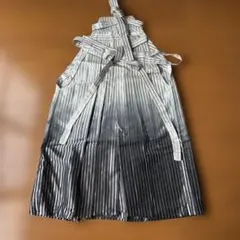 Item thumbnail for item 729f2f9f-3044-4c04-9104-30887bbc642d