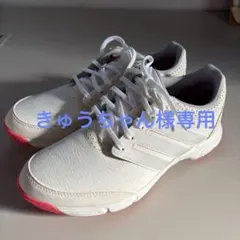 adidas ゴルフシューズ ルコックシューズケース付、手袋まとめ買い