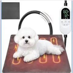 Item thumbnail for item ae039079-18cf-4f12-ba4d-c0f06f80ede4