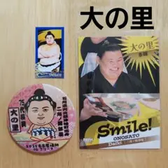 【未開封】大相撲　NEW！大相撲ステッカーシール　大の里　ガチャ