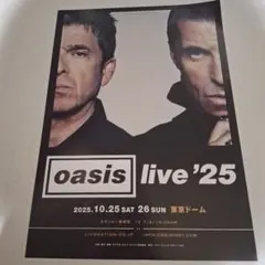 Oasis live'25 ビラ A4 東京ドーム オアシス 来日