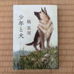 少年と犬