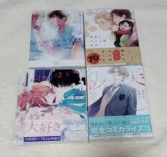 BL漫画 BL本 まとめ売り　ボーイズラブ　4冊セット