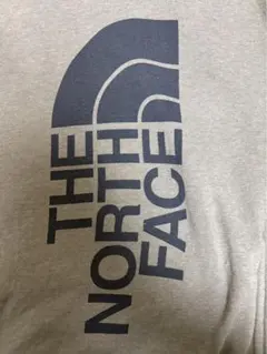 THE NORTH FACEパーカーグレービッグロゴメンズMレディース可 人気