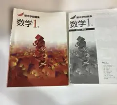 Item thumbnail for item b980a6f2-90d7-4e06-8d54-053383f38870