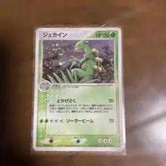 ポケモンカード ジュカインex 006/080グリーンヒール - メルカリ