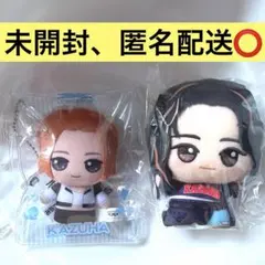 LE SSERAFIM みちっと！きらどるぬいぐるみ カズハ ちびぐるみ HOT