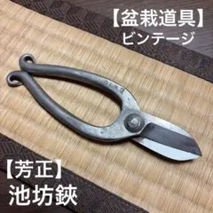 Etsuro／悦郎 盆栽鋏 ステンレス製 箱入り✳︎訳あり - メルカリ