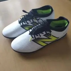 Item thumbnail for item 2aa8bfdd-05ef-4644-a7a5-5ef344e07b7c