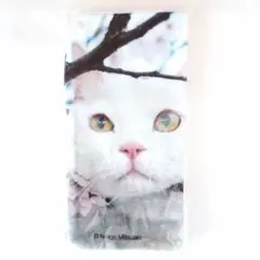 Item thumbnail for item 0036bf4a-ea44-433f-aff3-1b48982a72e9