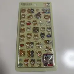 ララ★キラシール 柴犬