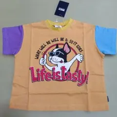 新品 フレンチブルドッグ Tシャツ 90cmのサムネイル