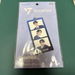 SEGA SEVENTEEN アクリルキーチェーン JEONGHAN