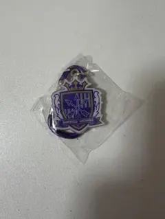 サンフレッチェ広島 カラビナ メタルチャーム　キーホルダー