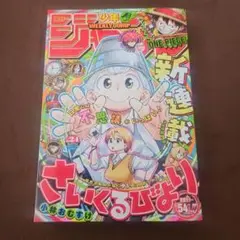 週刊少年ジャンプ 1999年11号 テンテンくん連載2周年記念号 - メルカリ