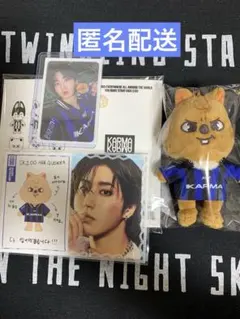 Stray Kids KARMA SKZOO VER ハンクオッカ　トレカセット