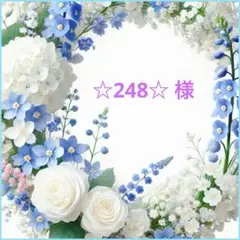 ☆248☆ 様❤︎専用