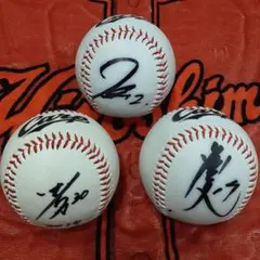 2025年最新】田中広輔 サインの人気アイテム - メルカリ