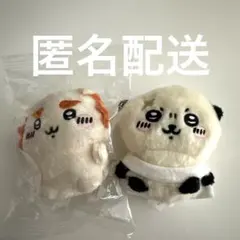 ちいかわ おすわりぬいぐるみ ガチャガチャ ラッコ　シーサー