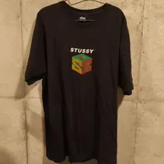 STUSSY S64 pigment dyed tee L