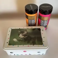 Item thumbnail for item add0117b-7cfa-412d-b61f-81238cf3f126