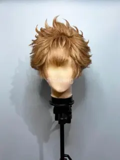 Lion様専用ウィッグご確認ページ - メルカリ