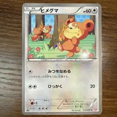 ヒメグマ C SC リングマ C SCセット