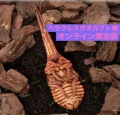 【オンライン限定版】いきもの大図鑑　かぶとむし１０　ヘラクレスオオカブト蛹　単品のサムネイル