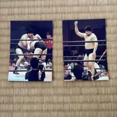 Item thumbnail for item 3bc4890d-7c3a-4970-a3e8-51d38b81e73e