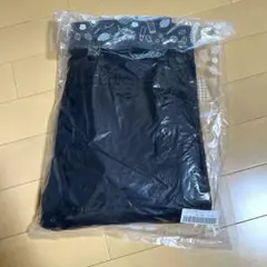 Item thumbnail for item 6e2f214d-e286-4a15-bcd7-eaf7113d1370