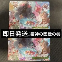 ヴァイス/グランブルーファンタジー/グラブル/RRR/秘密の趣味/4枚
