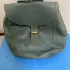 Item thumbnail for item 1d52f4b2-1db2-4c23-8c90-45e60b7113cf