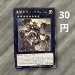 遊戯王 黒智天至イリスフィール