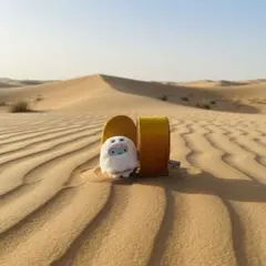 【未使用タグなし】すみっコぐらし　古代エジプト展　てのりぬいぐるみ　たぴおか