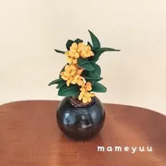 Ｎｏ．２２８４金木犀の鉢植え
