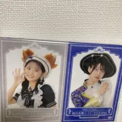 福田真琳、石井泉羽バースデーイベント2026DVD つばきファクトリー 福田真琳 石井泉羽 バースデーイベント 2025 DVD